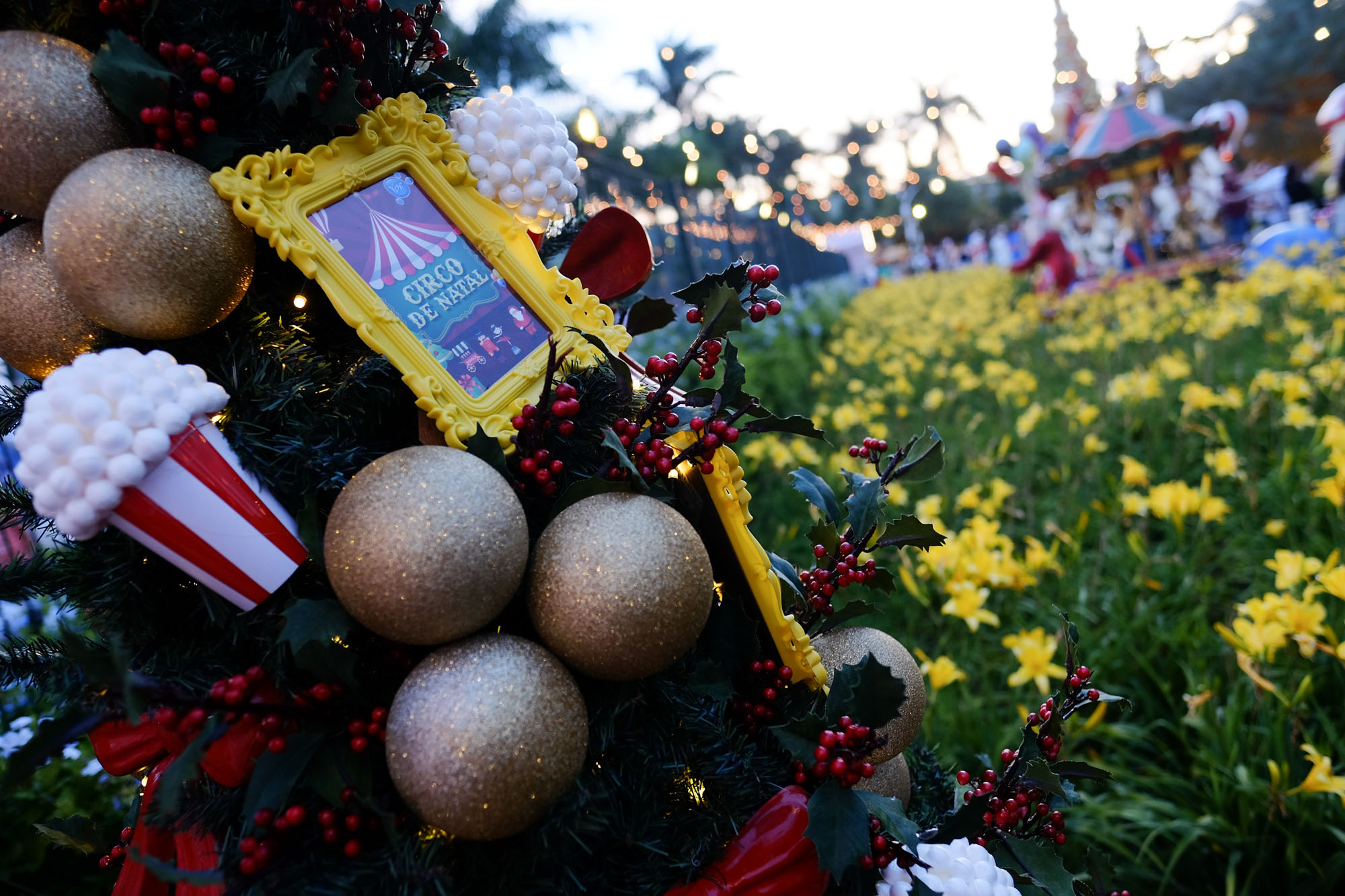 Natal YPÊ 2018